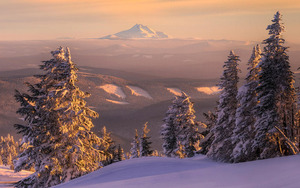 Big_winter2