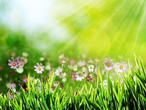 Big_spring2