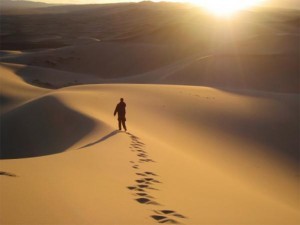 Big_alone-in-the-desert