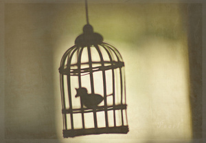 Big_cage