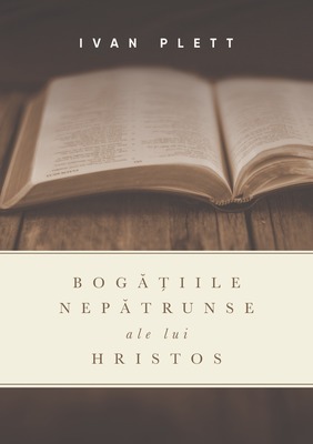 Big_bog__iile_nep_trunse