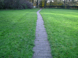 Big_paths2