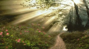 Big_path