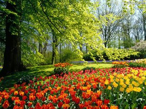 Big_garden